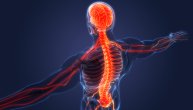 Disautonomija ili autonomna neuropatija posledica je oštećenja nervnog sistema