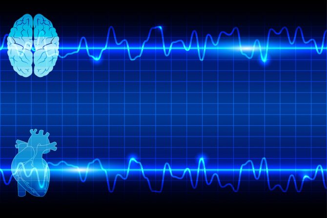 broj otkucaja srca u mirovanju