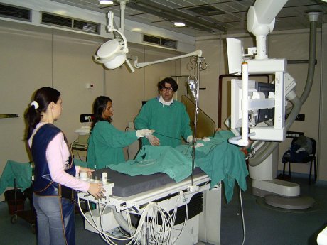 Prof. dr Predrag Mitrović