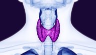 Zdrava štitna žlezda i srce čini zdravim, a kada oboli uzrokuje kardiovaskularne probleme