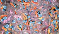 Otpornost bakterija na antibiotike opasnija od AIDS i malarije, tvrdi nova studija