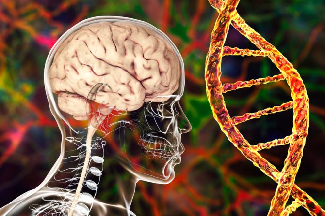 Posttraumatski stresni poremećaj