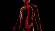 Implantat kičmene moždine omogućava paraplegičarima da ponovo hodaju, potvrdili naučnici