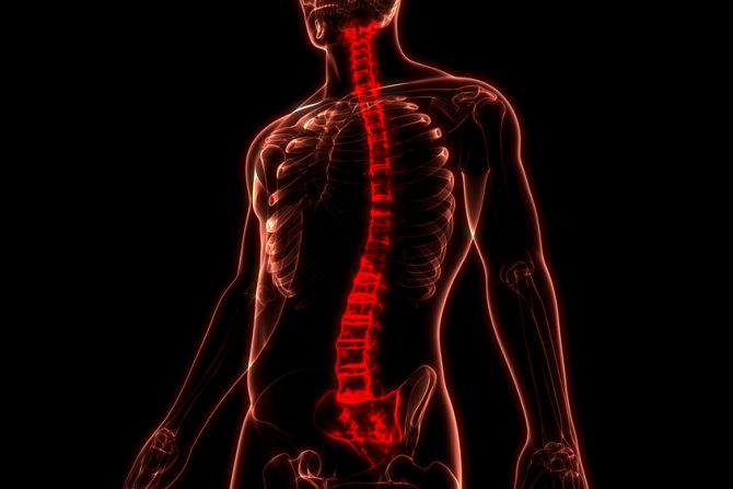 implantat kičmene moždine