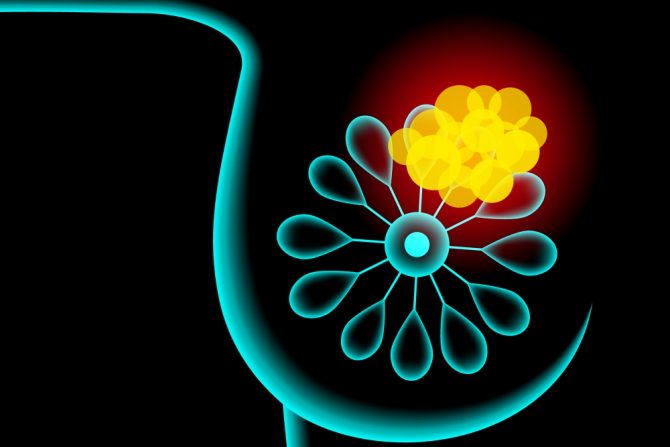 Ćelije majčinog mleka