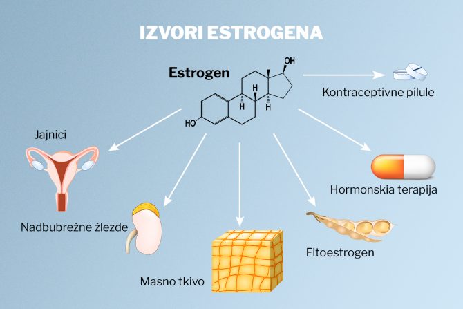 estrogen