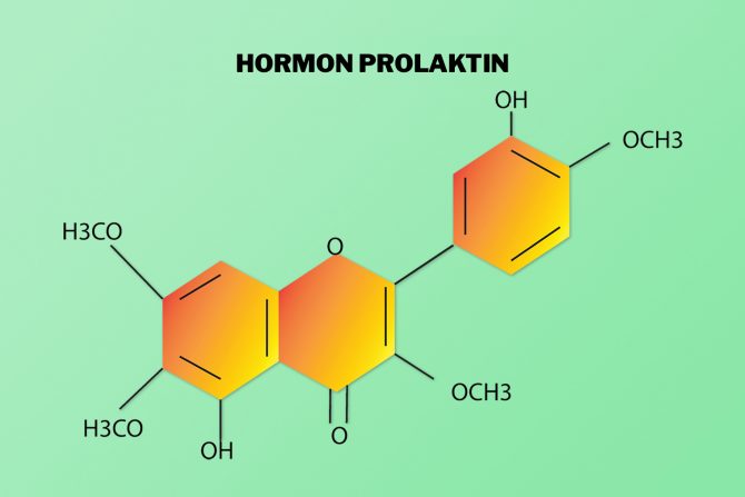 prolaktina