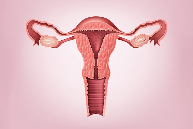menstruacija mitovi