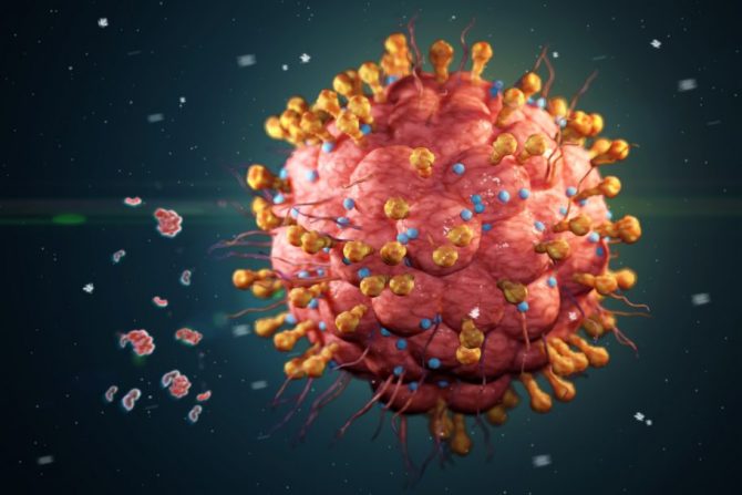 herpes virus