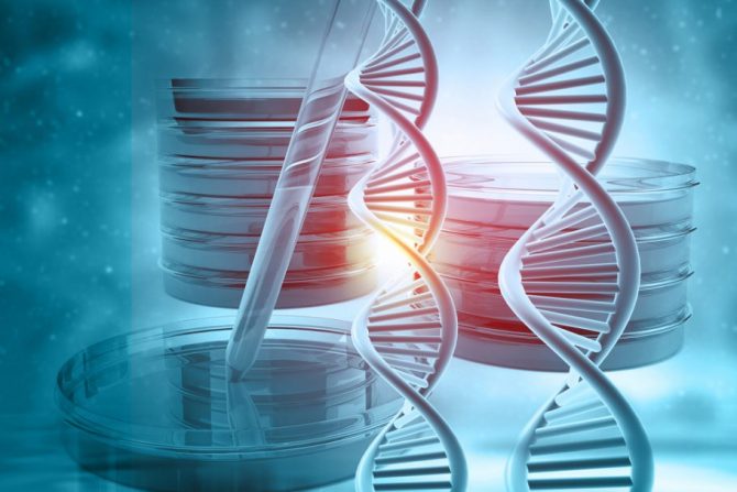 Skrining prilagođen genetici