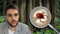 Lajmska bolest – kada ujed krpelja treba da nas zabrine