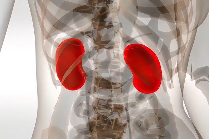 Neotkriveno akutno oštećenje bubrega