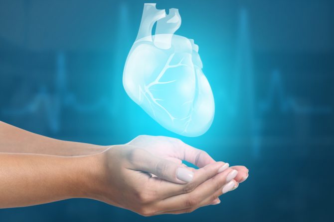 transplantacija organa