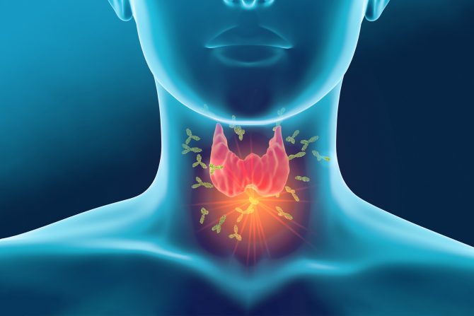 namirnice za štitnu žlezdu