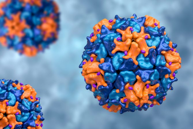 Polio virus i dečja paraliza