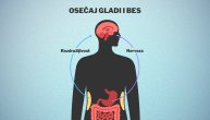 Kako je napad gladi povezan sa besom i razdražljivošću, pokazuju nova istraživanja