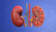 Na to da bubrezi ne rade dobro ukazuju i neki znaci koje sa njima ne povezujemo