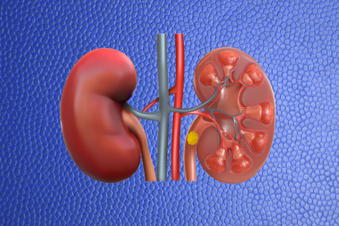 bubrezi ne rade dobro