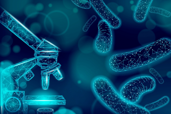 imunokompromitovana osoba