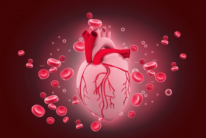 kardiovaskularne bolesti