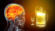 Delovanje alkohola na mozak, šta može da uradi jedno pijanstvo u mladosti
