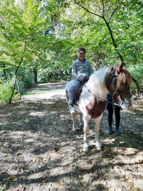 Dišenova mišićna distrofija Ilija jahanje