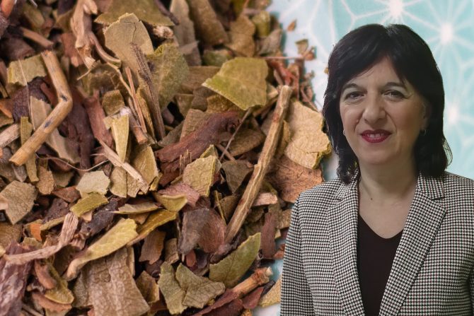 urinarne infekcije uvin čaj