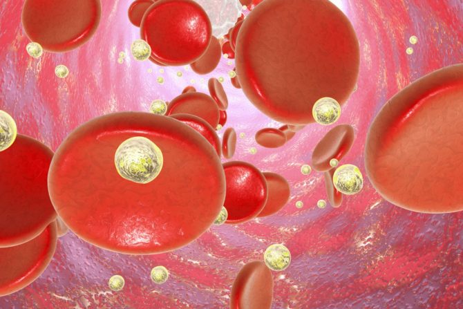 leukocitarna formula