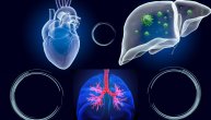 Transplantacija organa nikad veći problem, pluća, srce i jetra su urgentni