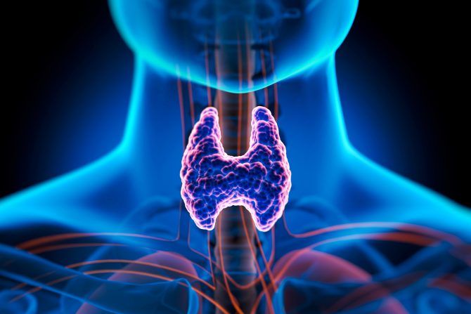 Najbolja hrana za štitnu žlezdu