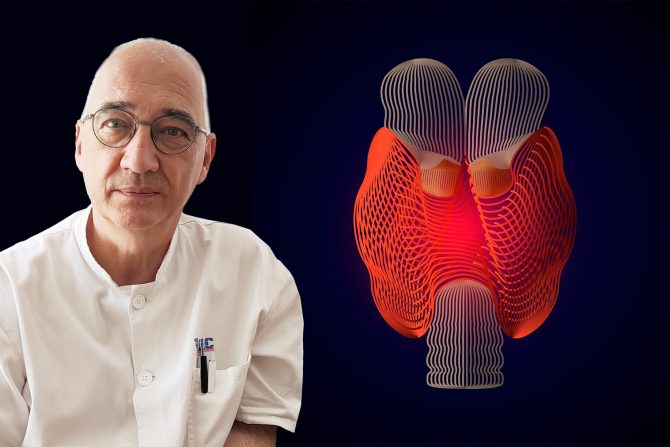 Štitna žlezda prof dr Miloš Žarković