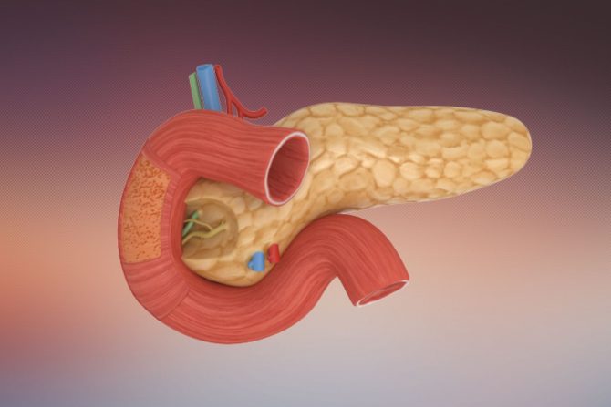 dvanaestopalačno crevo