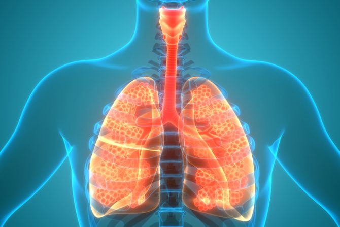 prehlada svetski dan borbe protiv upale pluća