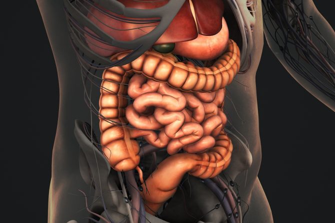 kolovesikularna fistula