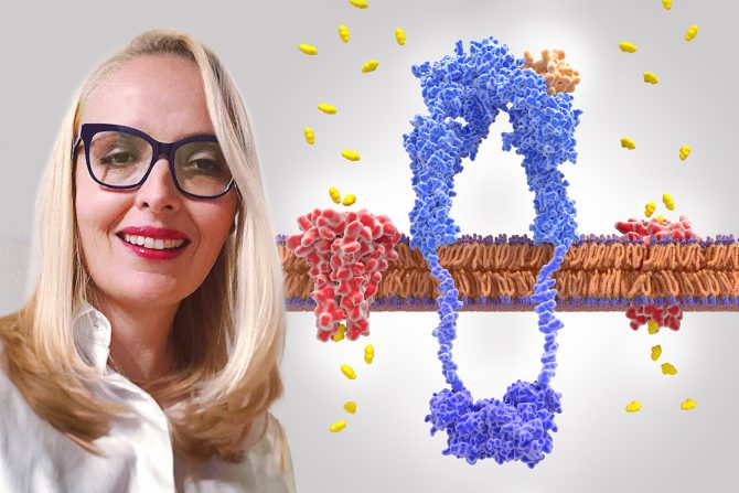 Insulinska rezistencija dr Tijana Dangubić