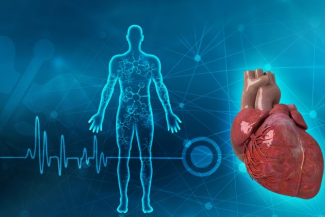 Rizik od kardiovaskularne smrti