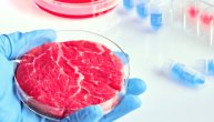 Da li će šnicla iz laboratorije koju prave naučnici biti ručak budućnosti