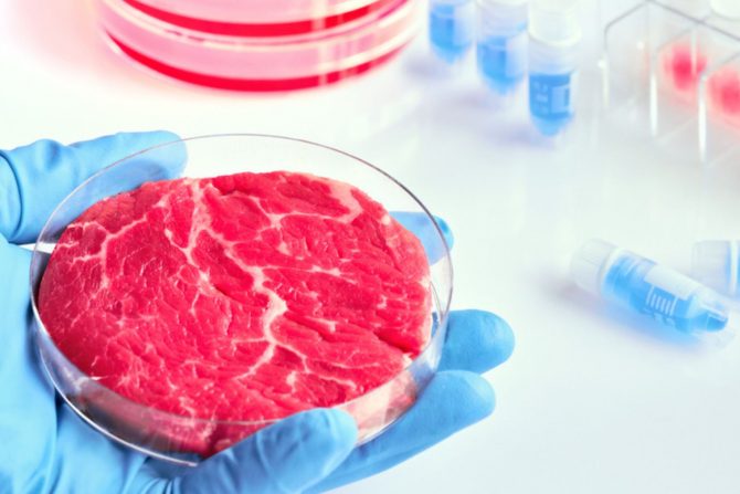meso iz laboratorije