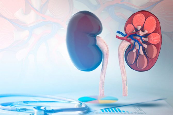 zdravlje bubrega