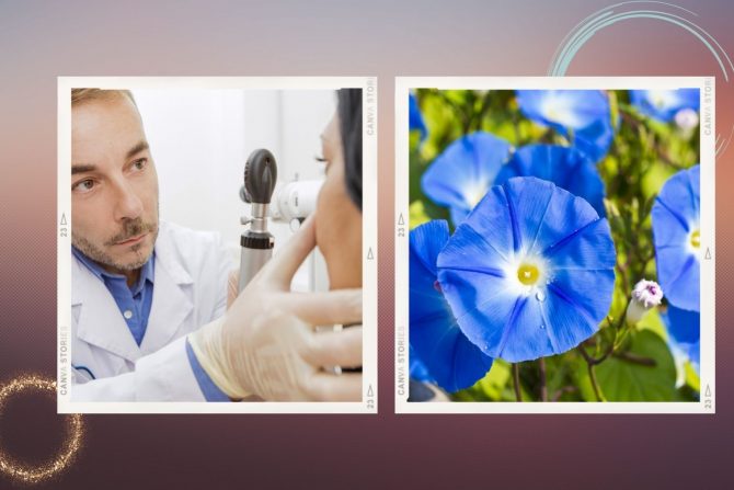 sindrom jutarnje slave