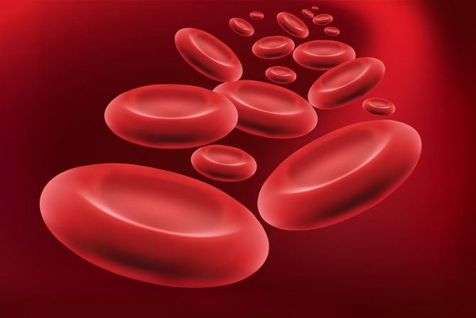 nivo gvožđa u krvi