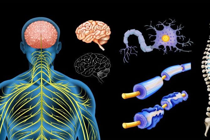 lečenje multiple skleroze