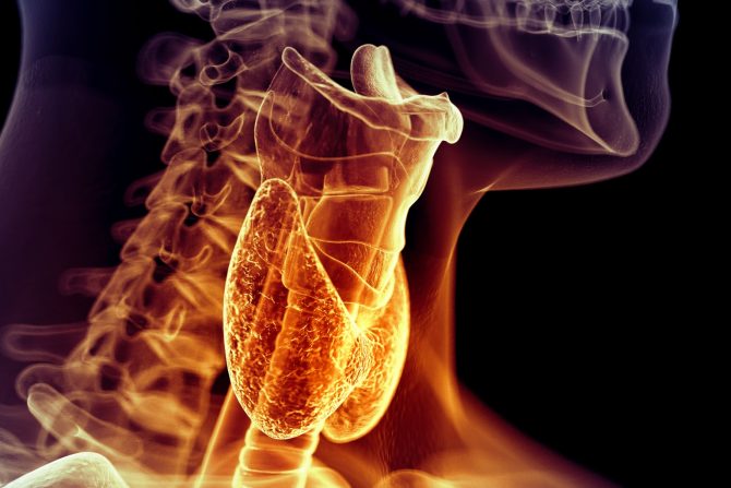 poremećaj rada štitne žlezde