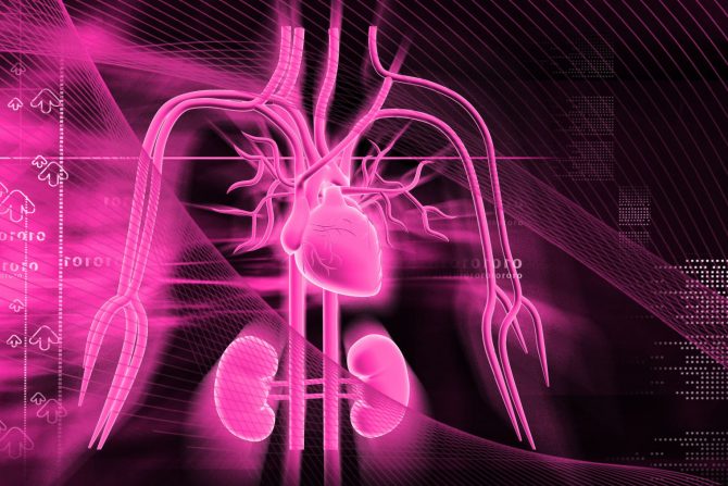 panel kardio-renalni sindrom