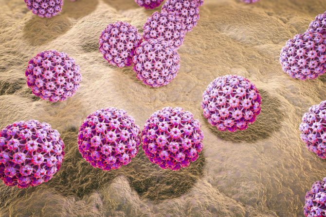 Virusne bradavice (kondilomi)