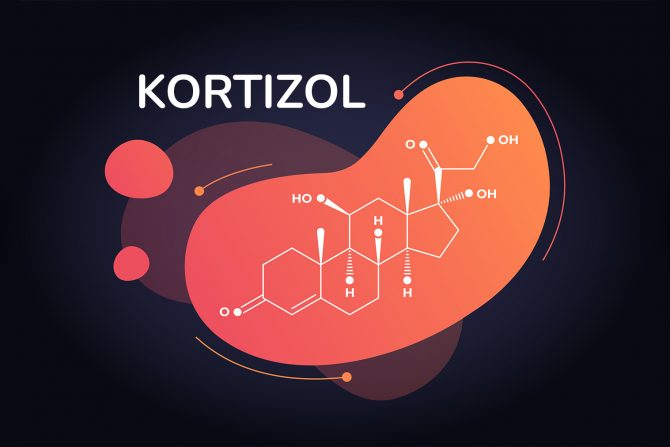 kortizol