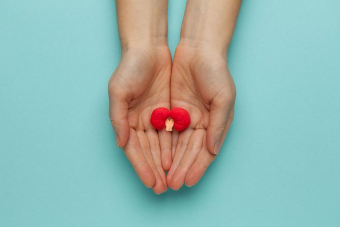 hronična bolest bubrega