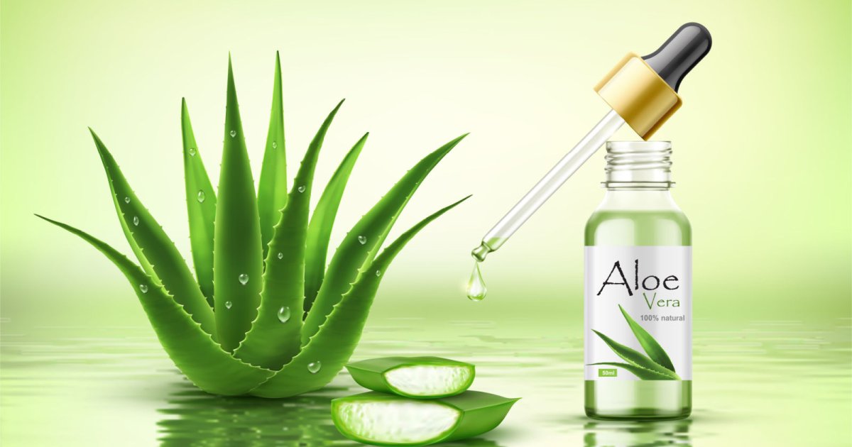 Aloe vera  koliko dugo moe da se koristi i kome se ne preporuuje -  eKlinika