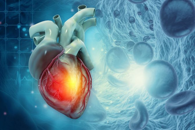 kardiovaskularne bolesti