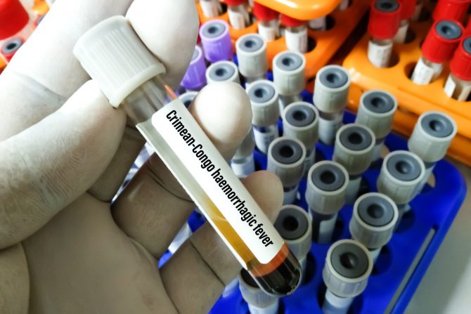 Krimsko-kongoanska hemoragijska groznica